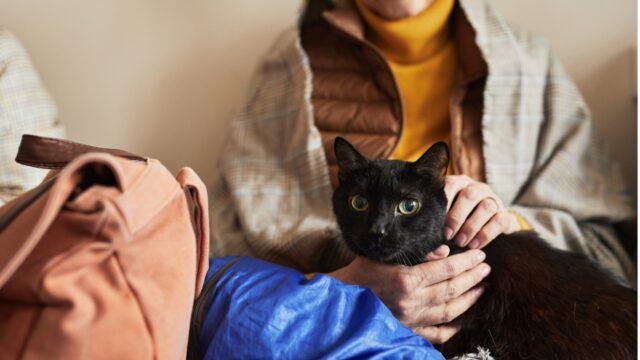 猫と一緒に避難する女性